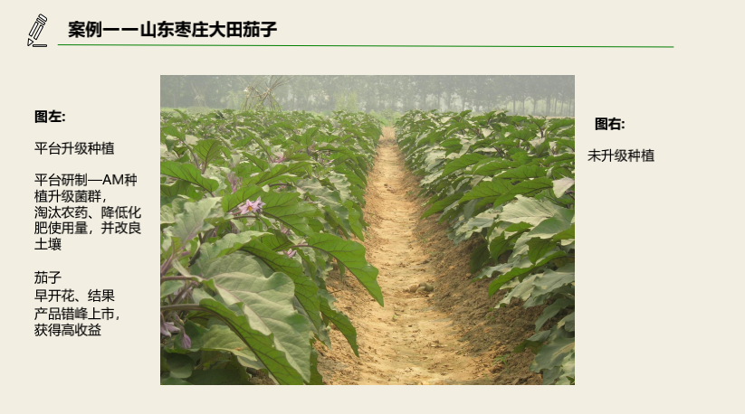 截屏2021-11-17 上午9.28.20.png